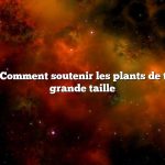 Question : Comment soutenir les plants de tomates de grande taille